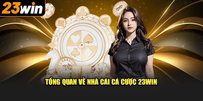Những thông tin cơ bản khi giới thiệu 23WIN